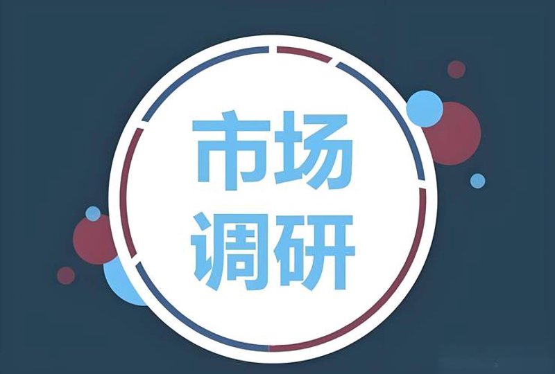 洞悉市场脉络，上海信息咨询公司的服务优势
